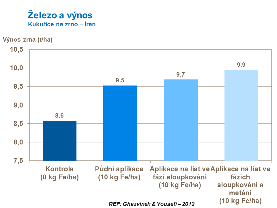 Železo a výnos kukuřice na zrno 