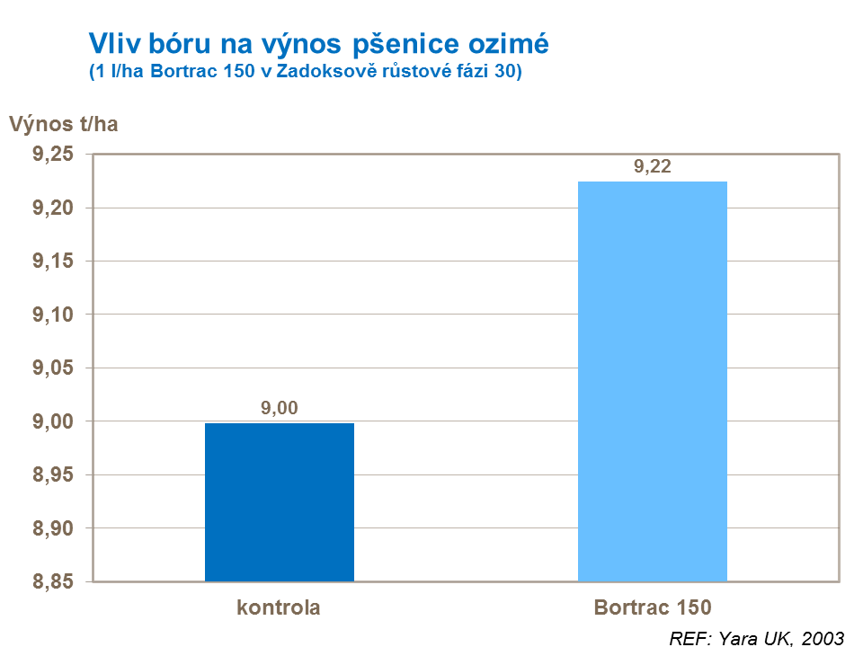 Vliv bóru na výnos pšenice ozimé