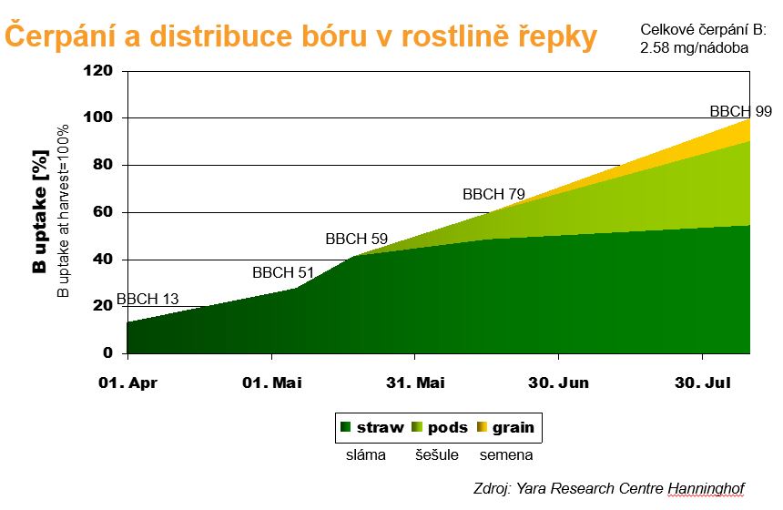 Čerp&aacute;n&iacute; a distribuce b&oacute;ru v rostlině řepky (graf)