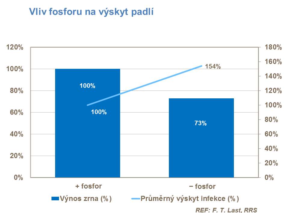Vliv fosforu na výskyt padlí