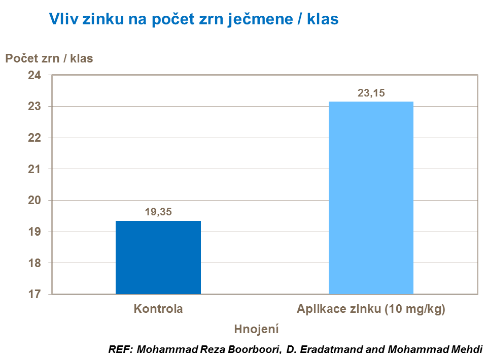 Vliv zinku na počet zrn ječmene / klas